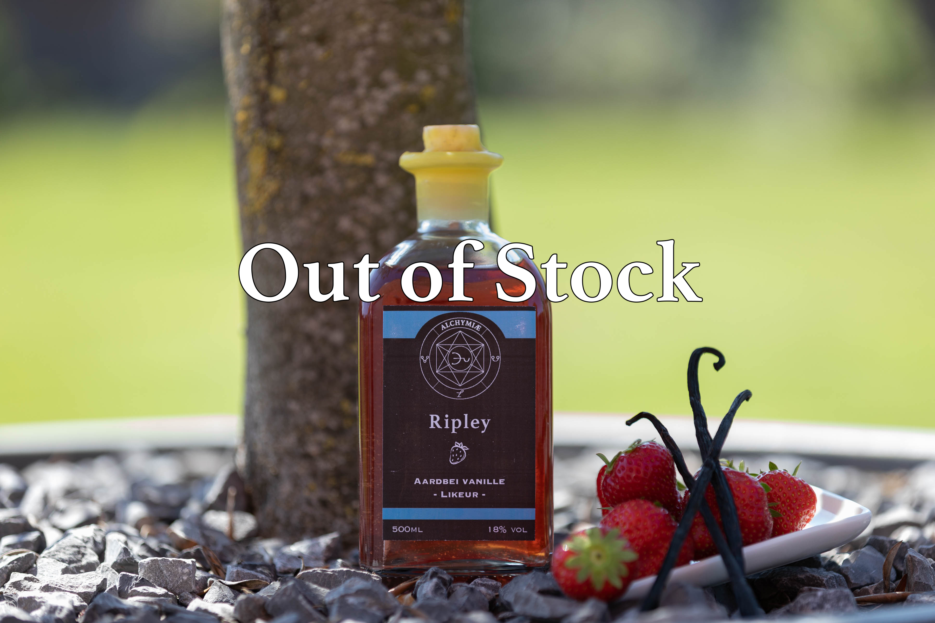 Bouteille Ripley avec fraises et vanille, out of stock