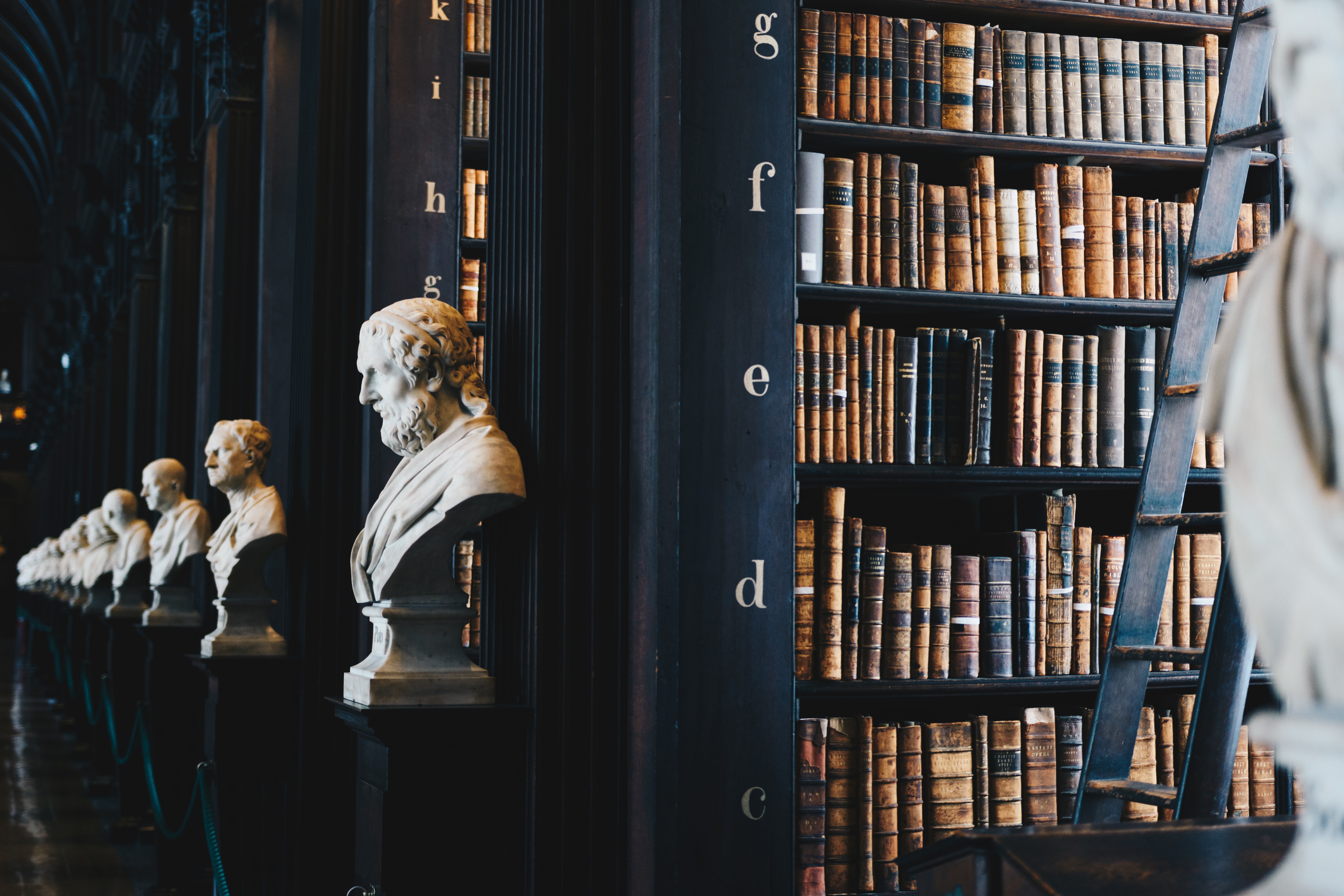 bibliotheek met busten van historische figuren